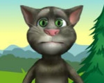 play Talking Tom On A Picnic