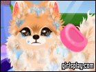 play Puppy Groomer