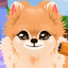 play Puppy Groomer