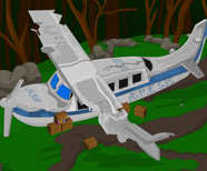 Crashed Plane Escape