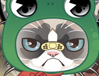 play Grumpy Cat Dressup