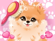 play Groom That Puppy