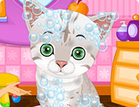 play Cute Pet Salon