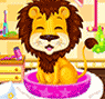 Baby Lion Salon