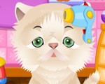 play Cute Pet Salon