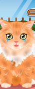 play Kitty Groomer