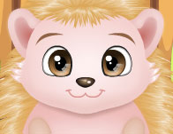 play Baby Hedgehog Caring
