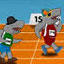 play Animal Raceway
