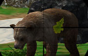 play Animal Hunter 3D