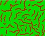 play Maze Race