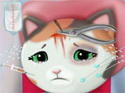 play Sheriff Callie Ambulance