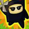 play Hidden Valley Ninja