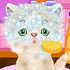 Play Cute Pet Salon