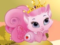 Royal Zoe Beauty And Pet Care