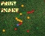 play Fruit Snake