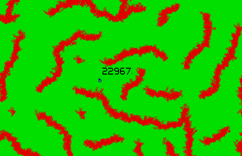 play Maze Race