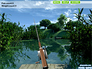 play Summer Lake Fishing