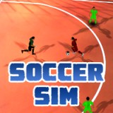 play Soccer Sim