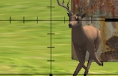 play Deer Hunter 2014