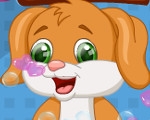 play Cute Puppy Caring