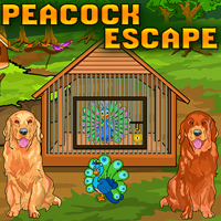 play Peacock Escape