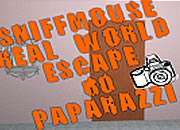 play Real World Escape 60 Paparazzi