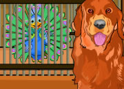 play Peacock Escape