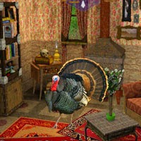 play Turkey Cottage Escape