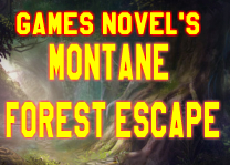 play Gamesnovel Montane Forest Escape