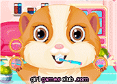 play Fluffy Hamster Salon