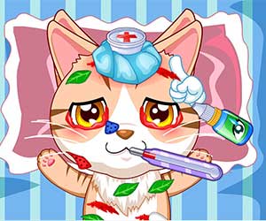 play Pet Hospital Doctor