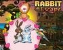 play Thanksgiving Rabbit Escape