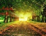 play Nature Walk.