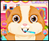 play Fluffy Hamster Salon