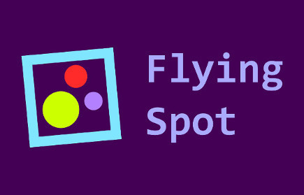 play Flying Spot