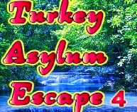 play Wow Turkey Asylum Escape 4