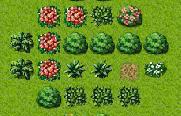 play Garden Trim
