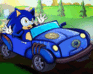 play Sonic Car Champ