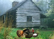 play Fat Turkey Escape