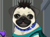 play My Pug Petcare And Dressup