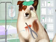 play Doctor For Dog With A Blog