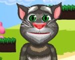 play Talking Tom Jump Adventure