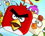 play Angry Bumper Bird