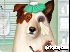 play Doctor For Dog With A Blog