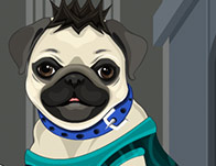 play My Pug Petcare And Dressup