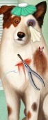play Doctor For Dog With A Blog