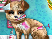 play Puppy Rescue Vet