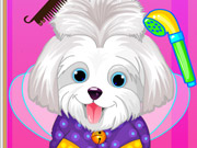 play Puppy Beauty Salon Kissing