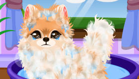 play Puppy Grooming