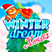 play Winter Dream Xmas